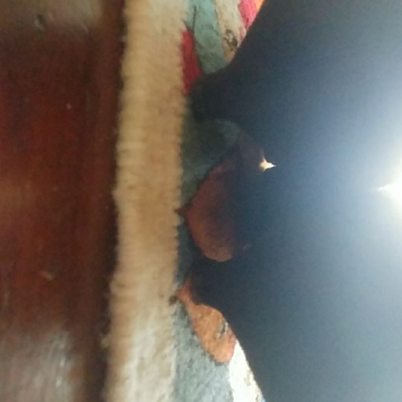 Shoes - Picture 5 of 6